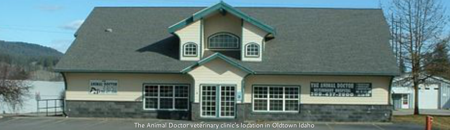 The Animal Doctor Veterinary Clinic in Oldtown Idaho - Home